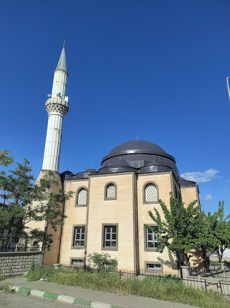 Toki Hz. Ali Cami Bingöl