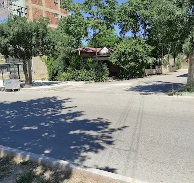 Salıbaba Muhtarlığı