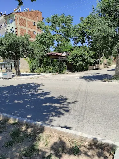 Salıbaba Muhtarlığı