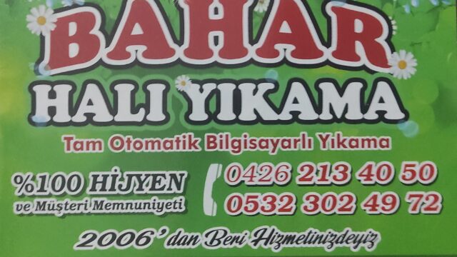 Bahar halı yıkama Bingöl